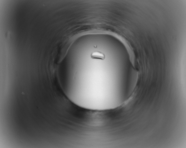 X0000089890186200707192021