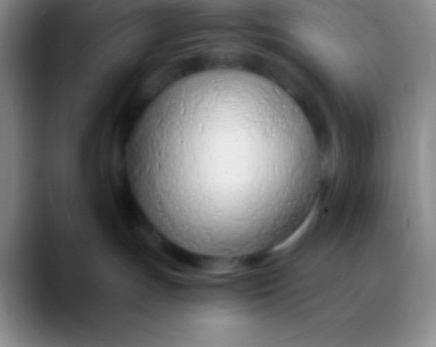 X0000089890191200707192021