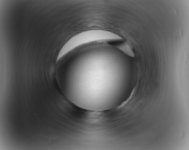 X0000089890192200707192021