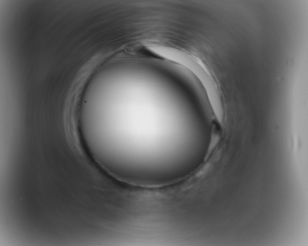 X0000089890193200707192020