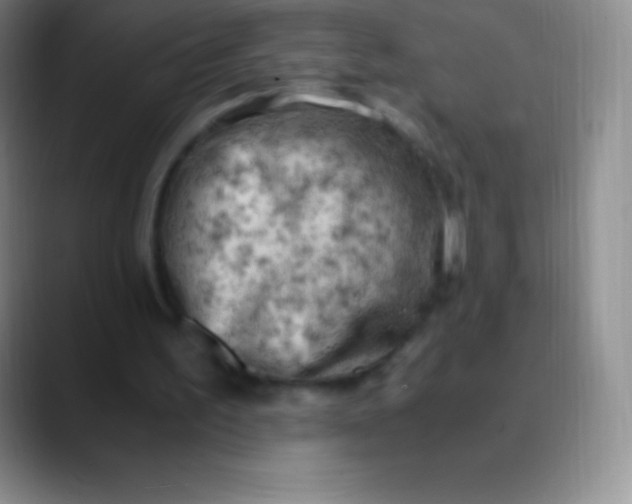 X0000089890195200707192020