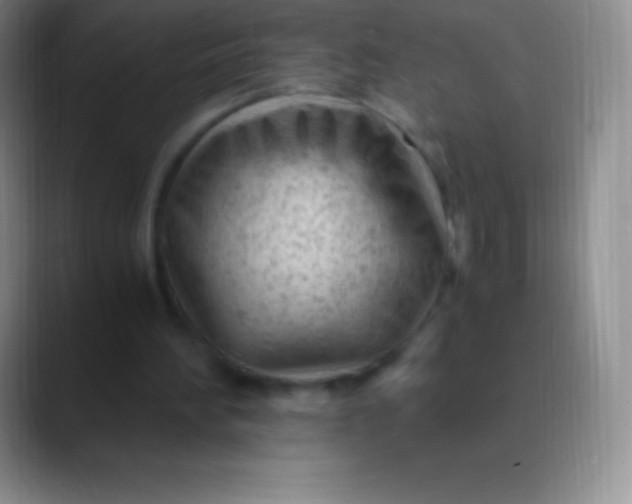 X0000089890196200707192020