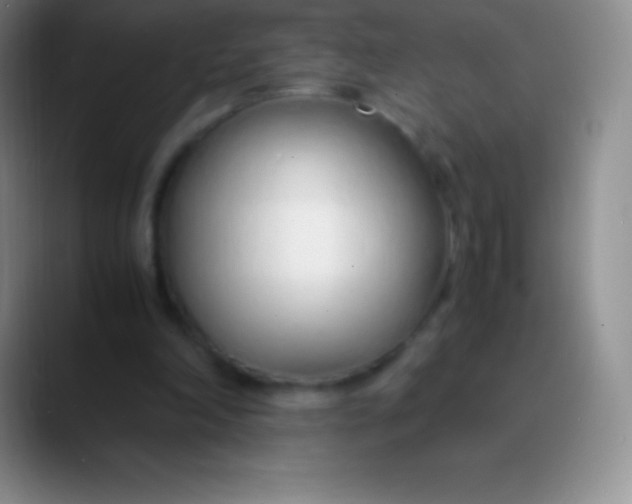 X0000089890198200707192020