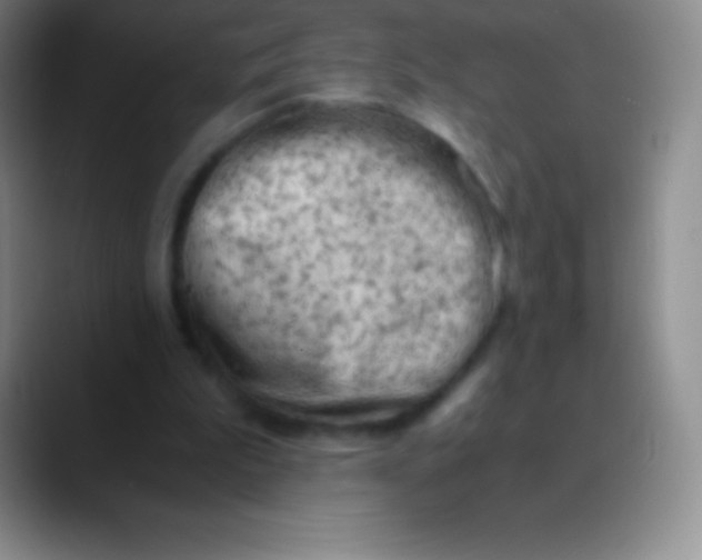 X0000089890199200707192020