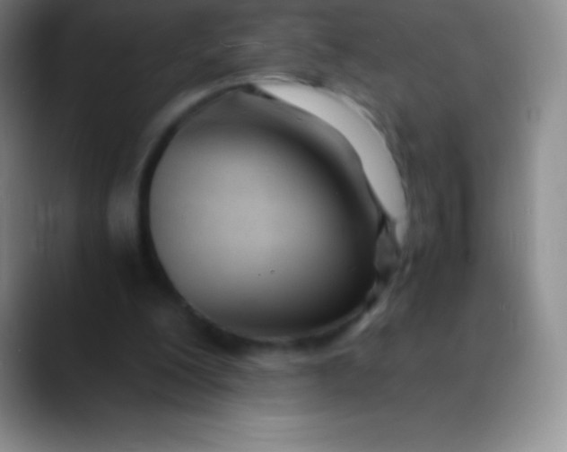 X0000089890200200707192020