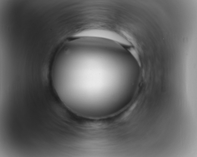 X0000089890201200707192020