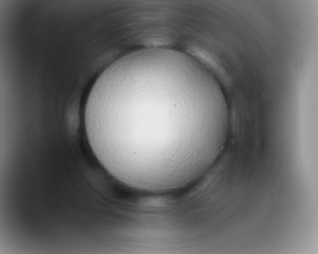 X0000089890202200707192020