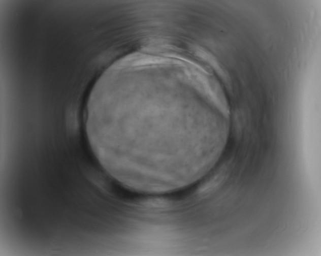 X0000089890203200707192020