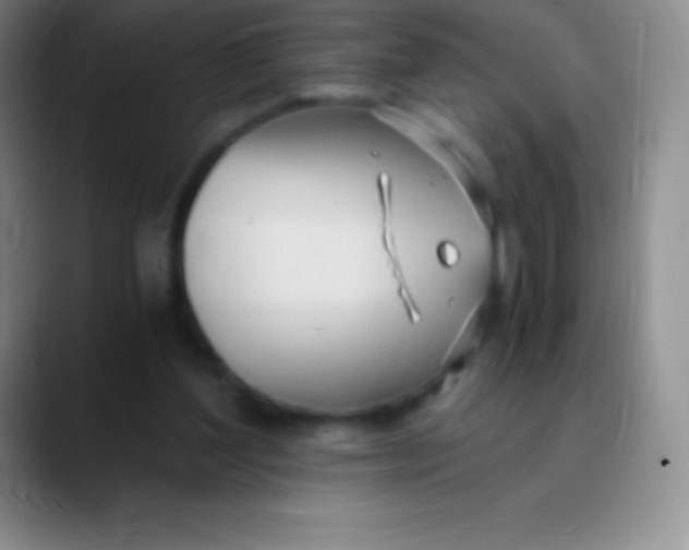 X0000089890204200707192020