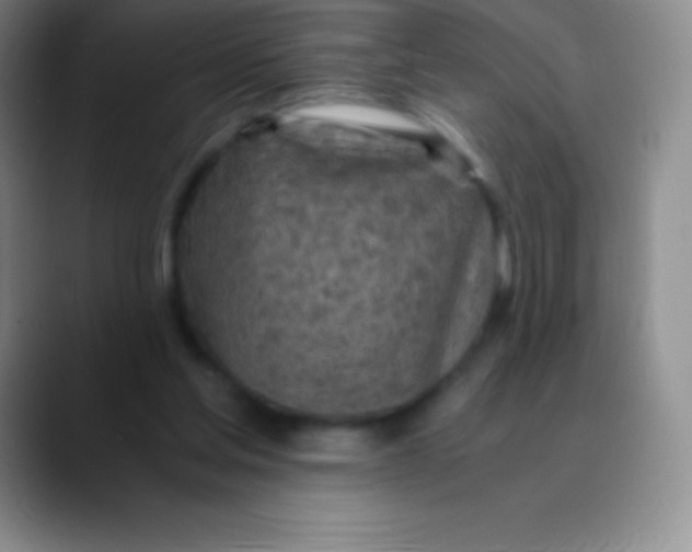 X0000089890205200707192020