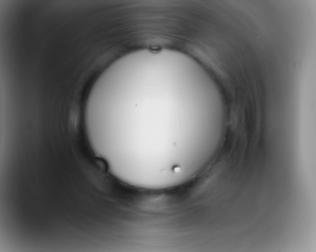 X0000089890206200707192020