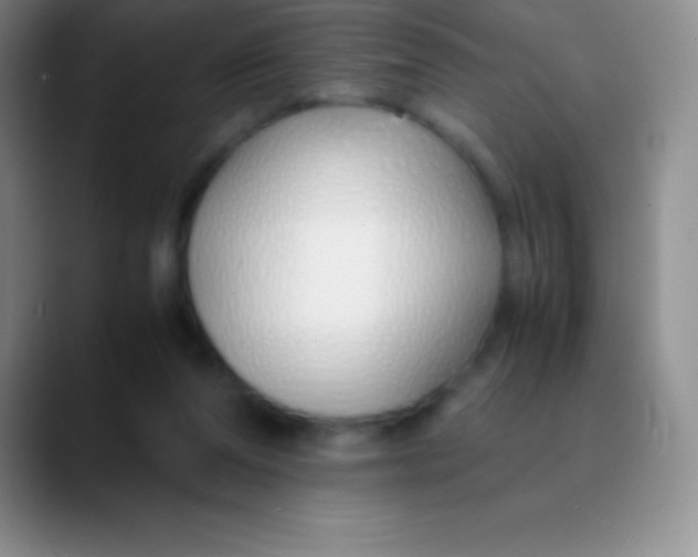 X0000089890208200707192020