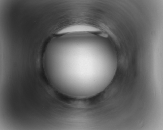 X0000089890209200707192020