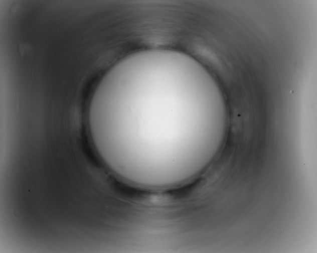 X0000089890210200707192020