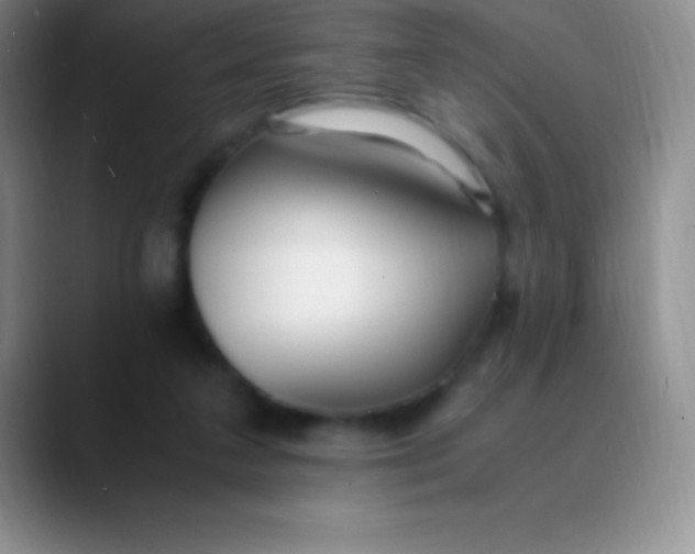 X0000089890211200707192020