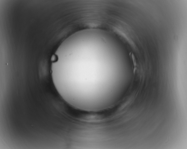 X0000089890212200707192020