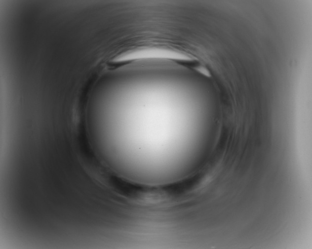 X0000089890215200707192020