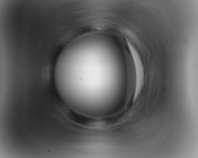 X0000089890217200707192020