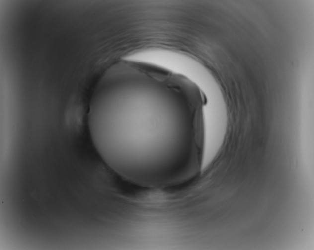 X0000089890219200707192020