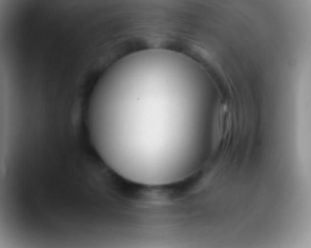 X0000089890221200707192020