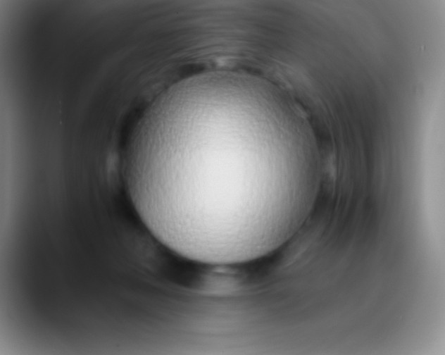 X0000089890222200707192020