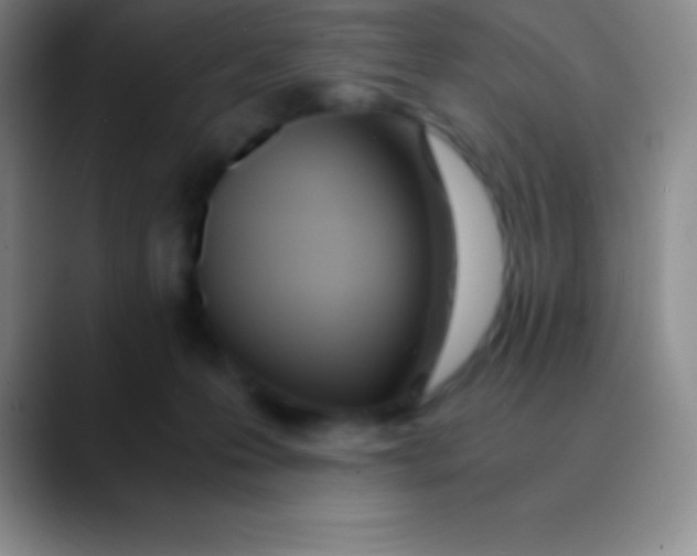 X0000089890223200707192020