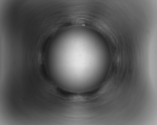 X0000089890224200707192020