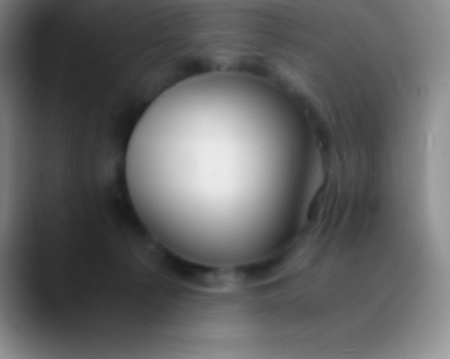 X0000089890225200707192020