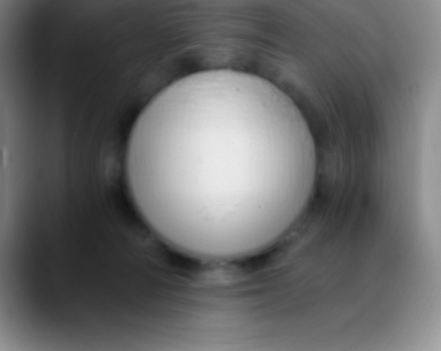 X0000089890226200707192020