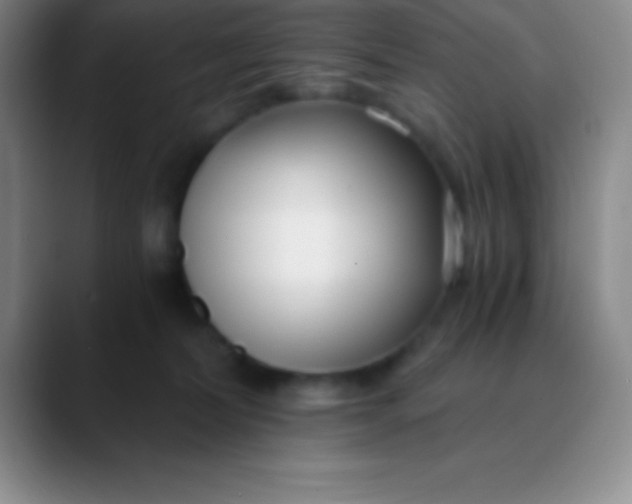 X0000089890228200707192020