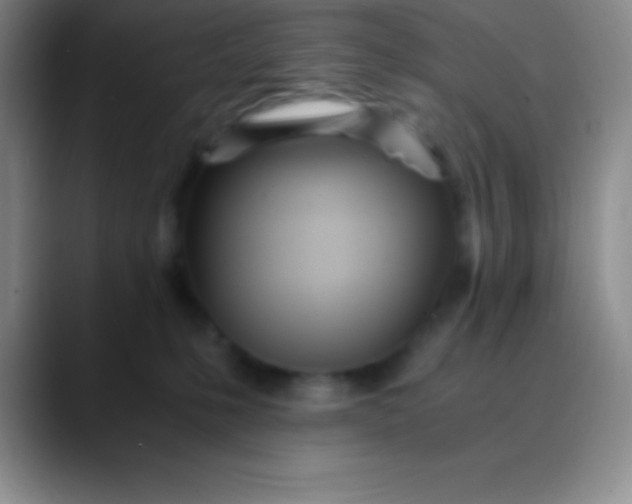 X0000089890231200707192020