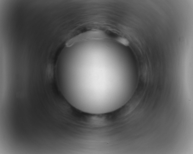 X0000089890232200707192020