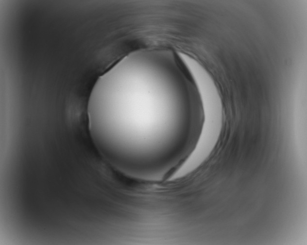 X0000089890233200707192020