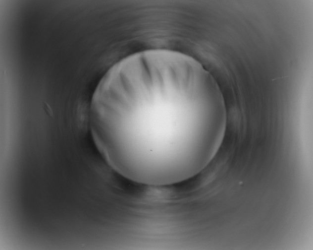 X0000089890234200707192020