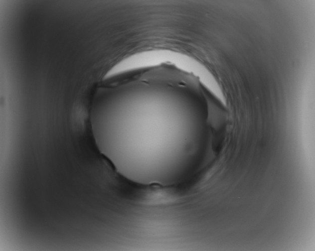 X0000089890235200707192020