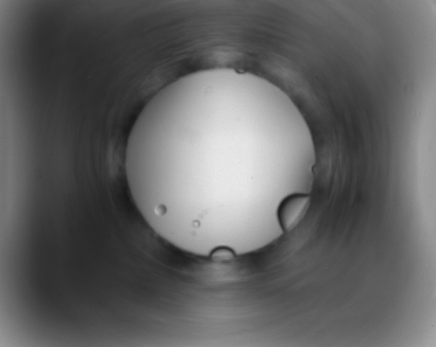 X0000089890236200707192020