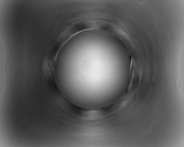 X0000089890237200707192020