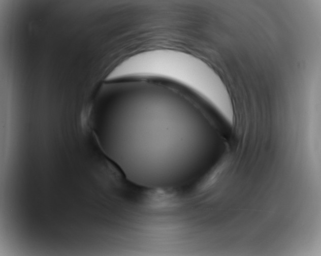 X0000089890239200707192020