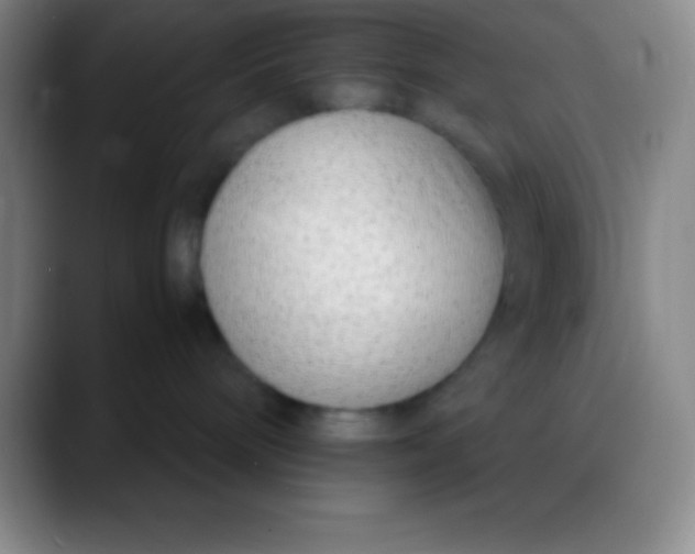 X0000089890240200707192020