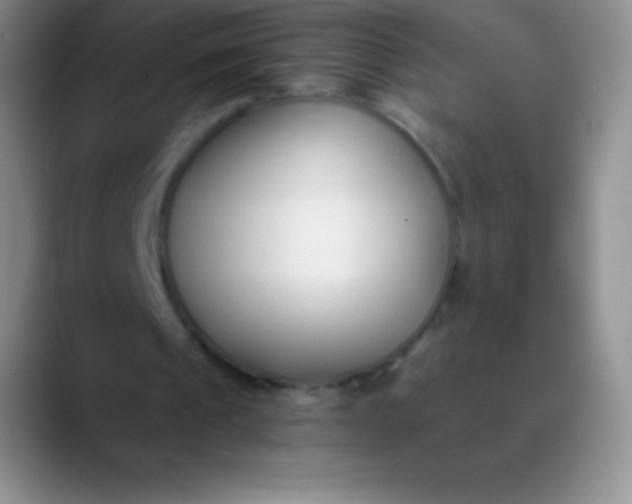 X0000089890241200707192019