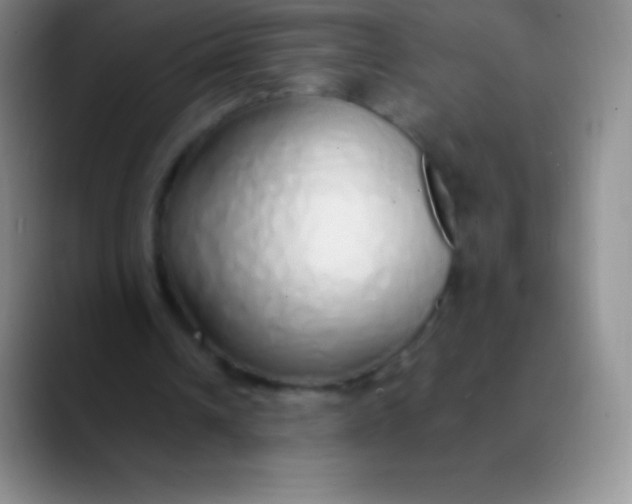 X0000089890242200707192019