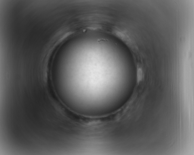 X0000089890243200707192019