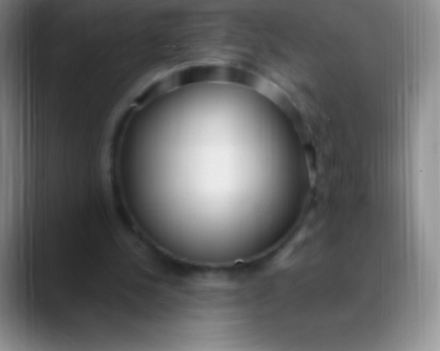 X0000089890244200707192019