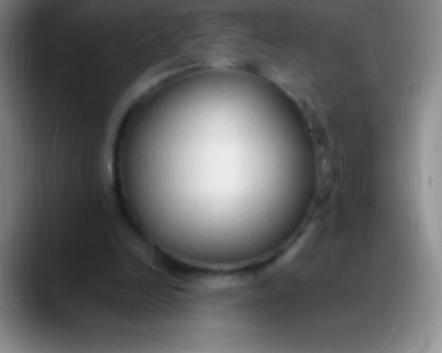 X0000089890246200707192019