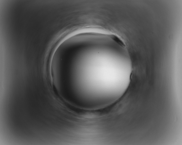 X0000089890248200707192019