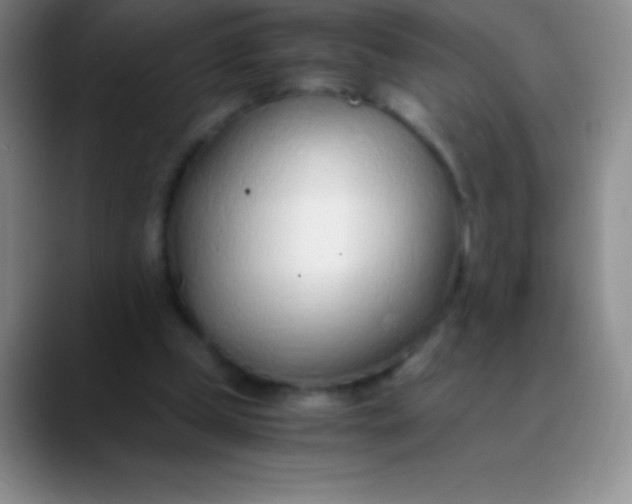 X0000089890249200707192019