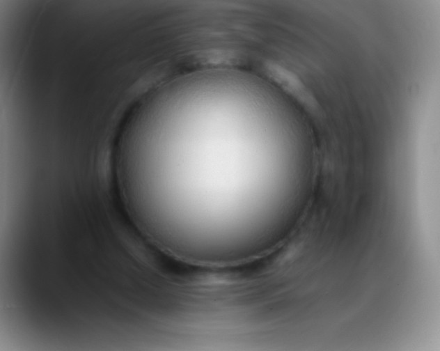 X0000089890250200707192019