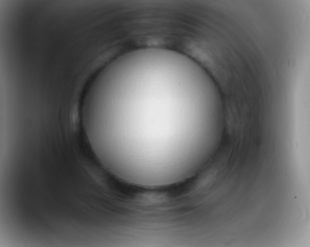 X0000089890251200707192019