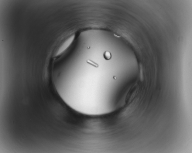 X0000089890252200707192019