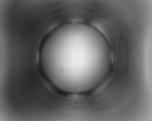 X0000089890253200707192019